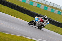 PJ-Motorsport-2019;anglesey-no-limits-trackday;anglesey-photographs;anglesey-trackday-photographs;enduro-digital-images;event-digital-images;eventdigitalimages;no-limits-trackdays;peter-wileman-photography;racing-digital-images;trac-mon;trackday-digital-images;trackday-photos;ty-croes